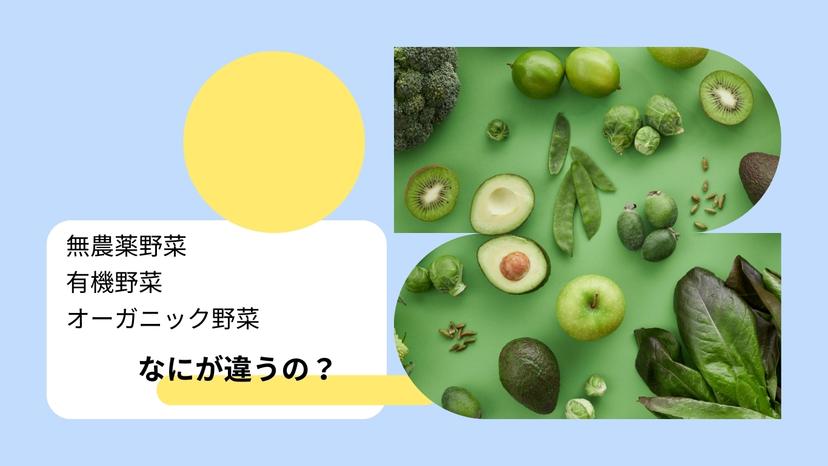 無農薬野菜と有機野菜、オーガニック野菜の違いやメリットは？